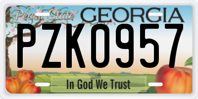 GA license plate PZK0957
