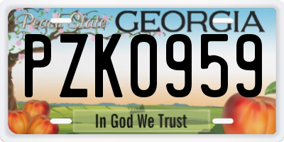 GA license plate PZK0959