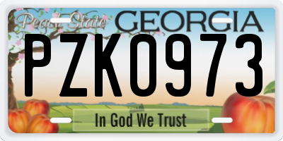 GA license plate PZK0973