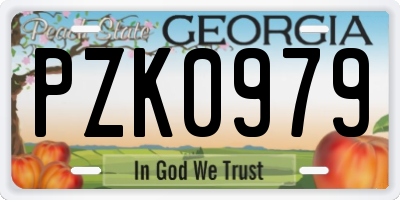 GA license plate PZK0979