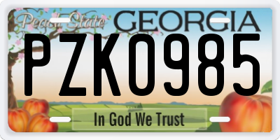 GA license plate PZK0985