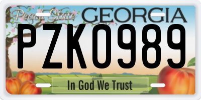 GA license plate PZK0989