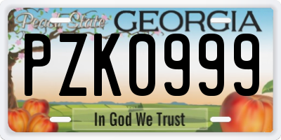 GA license plate PZK0999