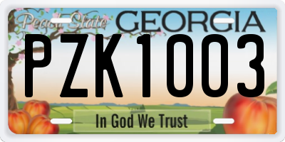 GA license plate PZK1003