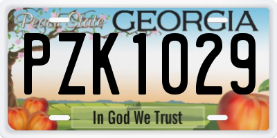 GA license plate PZK1029