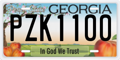 GA license plate PZK1100