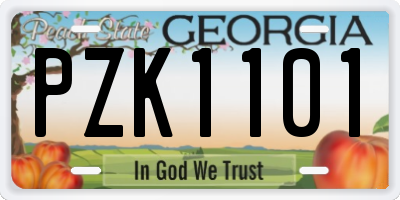 GA license plate PZK1101