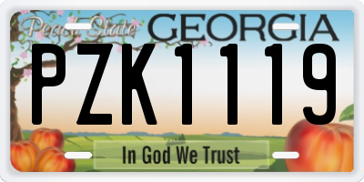GA license plate PZK1119