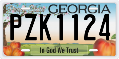 GA license plate PZK1124