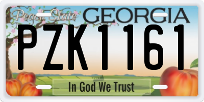 GA license plate PZK1161
