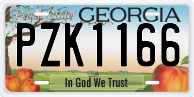 GA license plate PZK1166