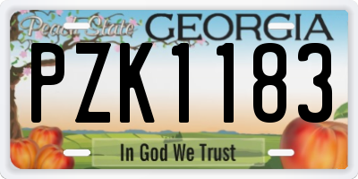 GA license plate PZK1183