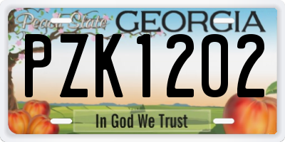 GA license plate PZK1202