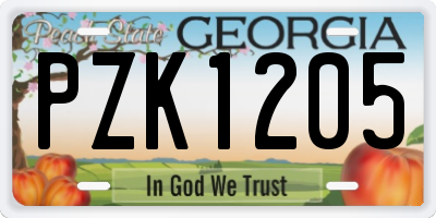 GA license plate PZK1205