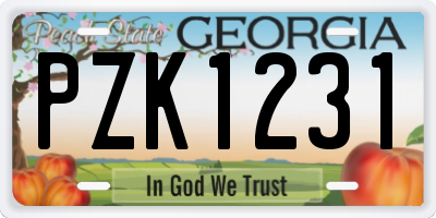 GA license plate PZK1231
