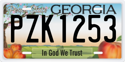 GA license plate PZK1253