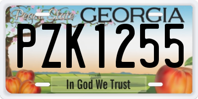 GA license plate PZK1255
