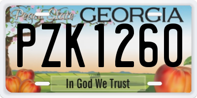 GA license plate PZK1260
