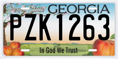 GA license plate PZK1263