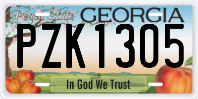 GA license plate PZK1305