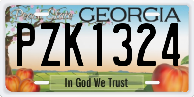 GA license plate PZK1324