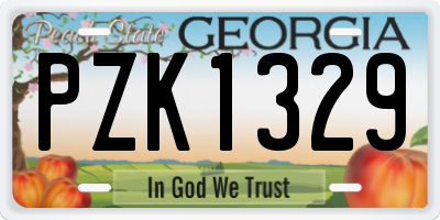 GA license plate PZK1329