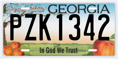 GA license plate PZK1342