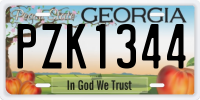 GA license plate PZK1344