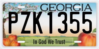 GA license plate PZK1355