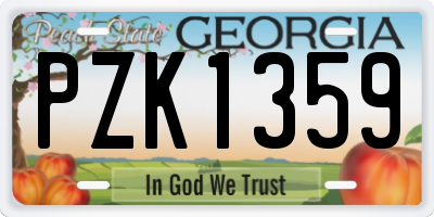 GA license plate PZK1359