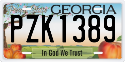 GA license plate PZK1389