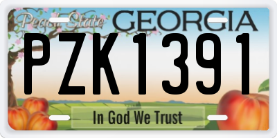 GA license plate PZK1391