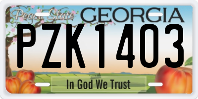 GA license plate PZK1403