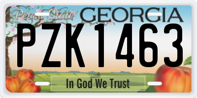 GA license plate PZK1463