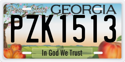 GA license plate PZK1513