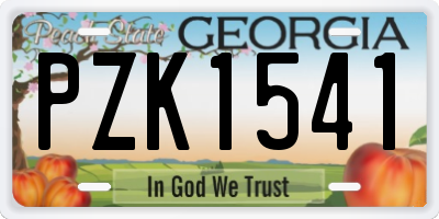 GA license plate PZK1541