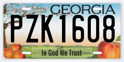 GA license plate PZK1608