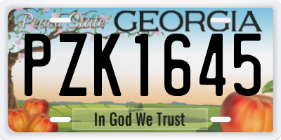 GA license plate PZK1645