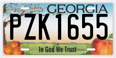 GA license plate PZK1655