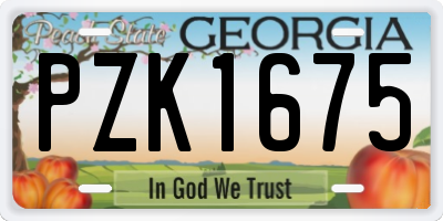 GA license plate PZK1675