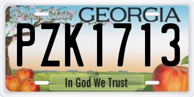 GA license plate PZK1713