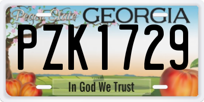 GA license plate PZK1729