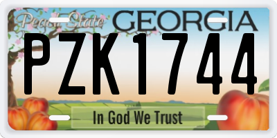 GA license plate PZK1744
