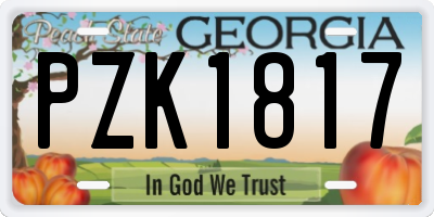 GA license plate PZK1817