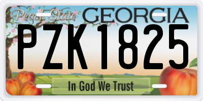 GA license plate PZK1825
