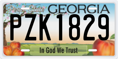GA license plate PZK1829