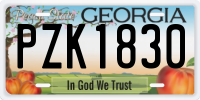 GA license plate PZK1830