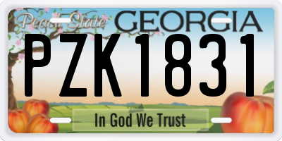 GA license plate PZK1831