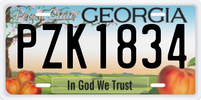 GA license plate PZK1834