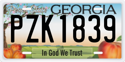 GA license plate PZK1839